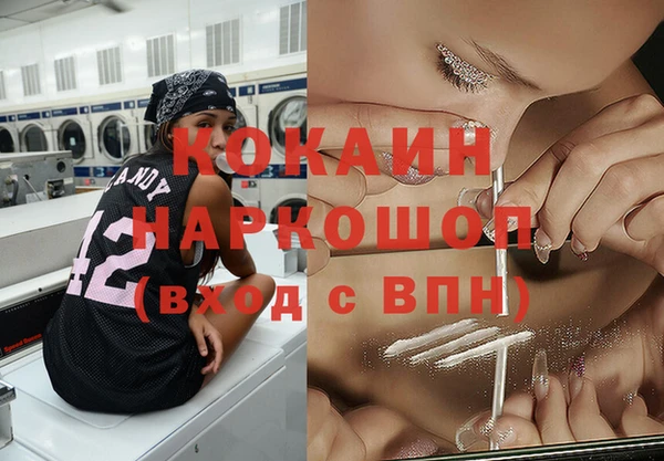 сатива Арсеньев