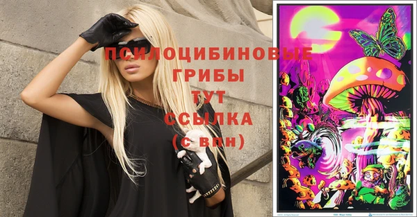 сатива Арсеньев