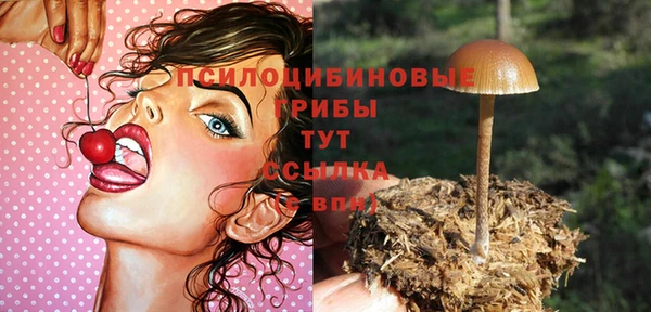 кокс Армянск