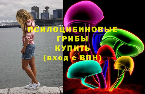 сатива Арсеньев