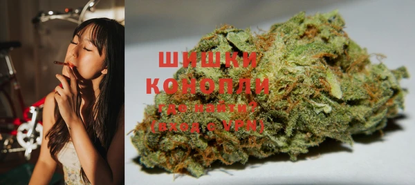 сатива Арсеньев