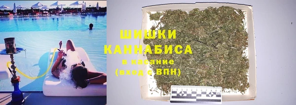 сатива Арсеньев