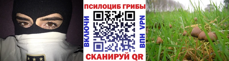 как найти закладки  Холм  Галлюциногенные грибы мицелий 