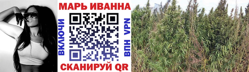 Канабис THC 21%  где купить наркотик  Холм 